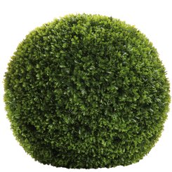 BUXUS 