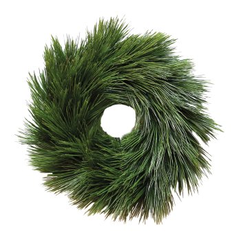 Kieferkranz