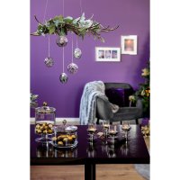 Bild11