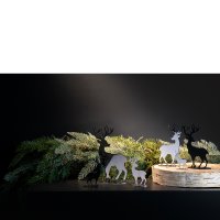 Bild11