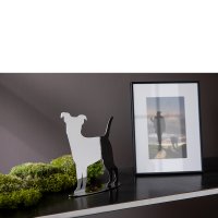 Bild6