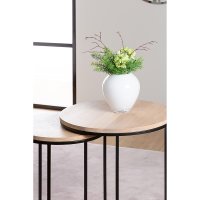 Bild8