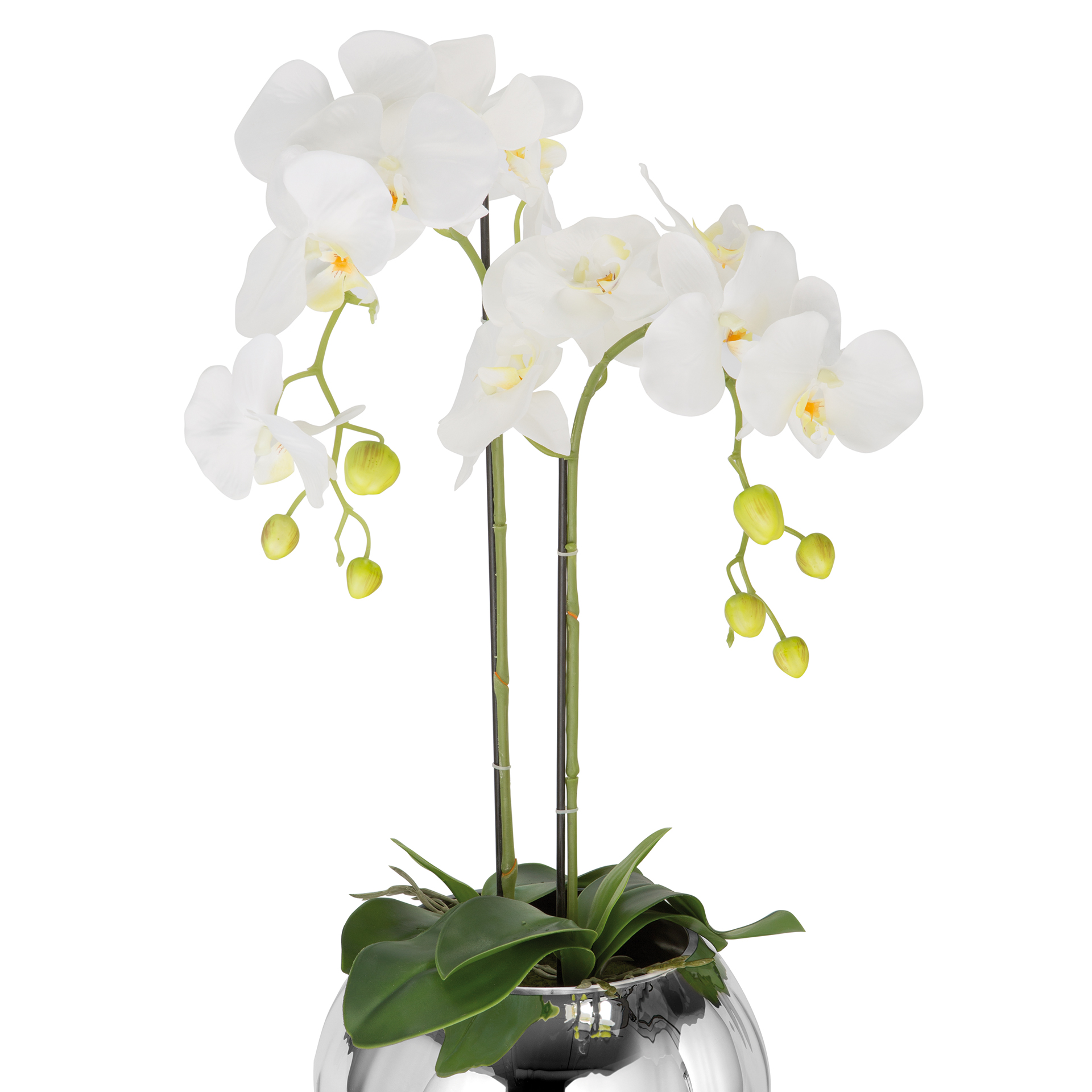 Kunstblume: Orchidee